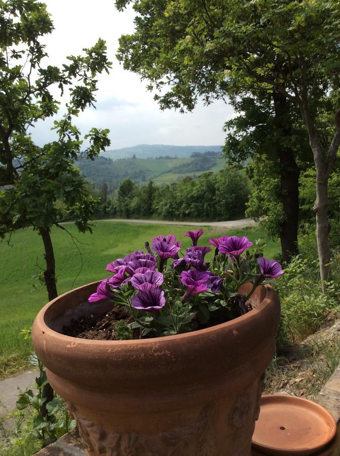 Agriturismo Ca Lunati Hotel Castelletto Mendosio Exterior photo